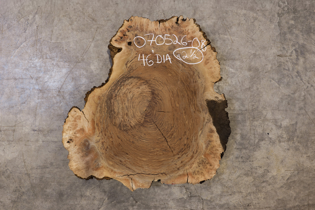 Oregon Black Walnut Burl Round 070526-08