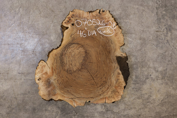 Oregon Black Walnut Burl Round 070526-08