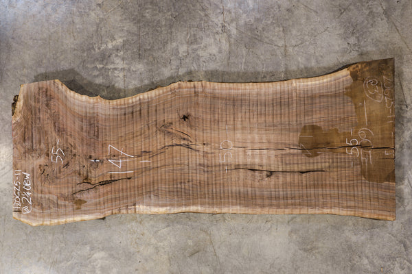 Oregon Black Walnut Slab 120625-11