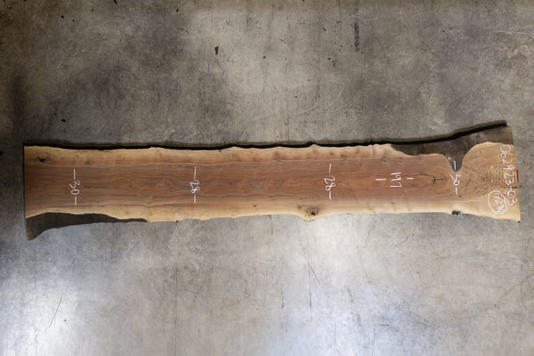 Oregon Black Walnut Slab 062423-03