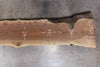 Oregon Black Walnut Slab 062423-03