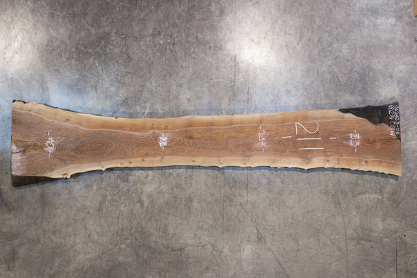 Oregon Black Walnut Slab 062423-08