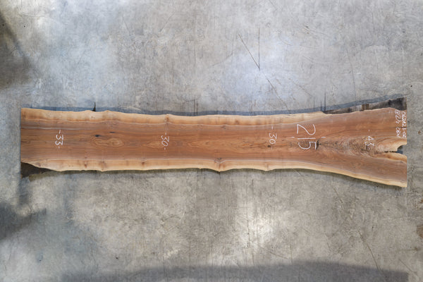 Oregon Black Walnut Slab 062423-02