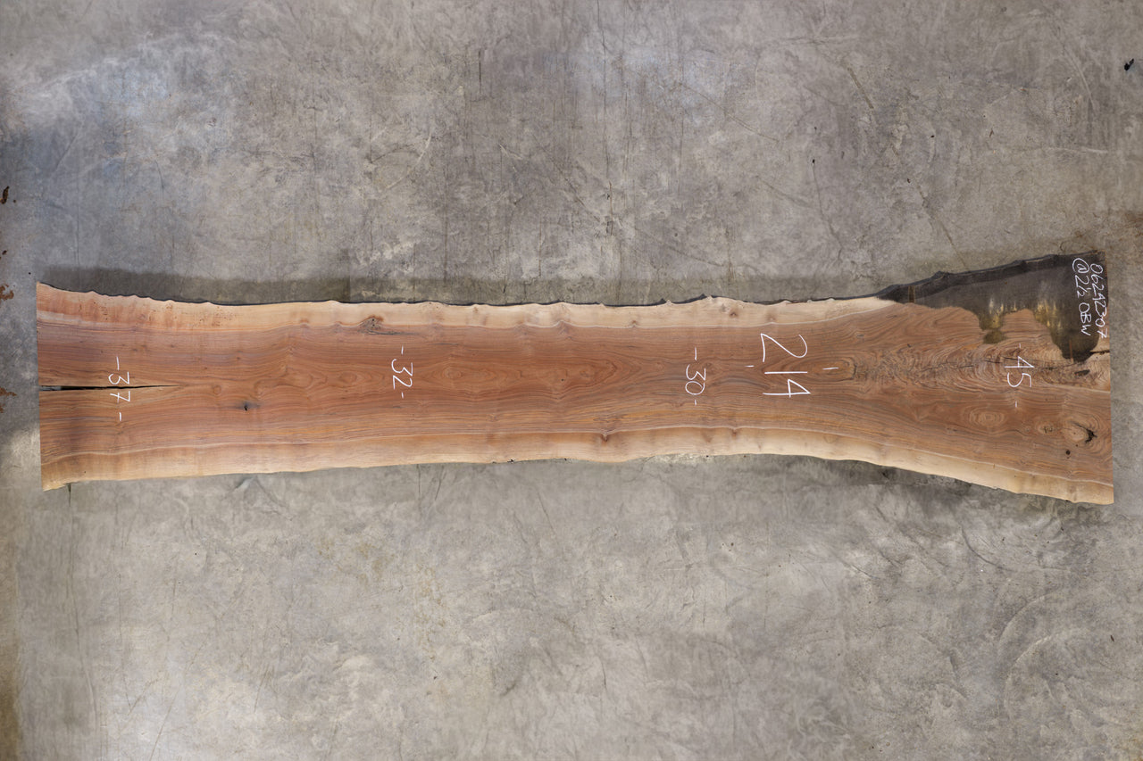 Oregon Black Walnut Slab 062423-07