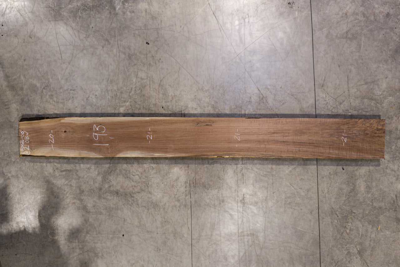 Oregon Black Walnut Slab 070426-06