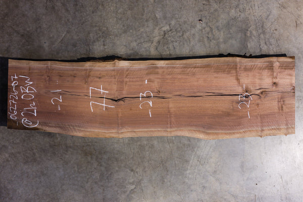 Oregon Black Walnut Slab 062726-07