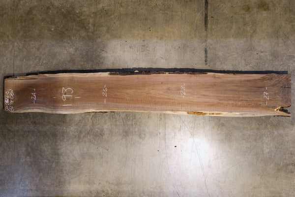 Oregon Black Walnut Slab 070426-01