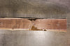 Oregon Black Walnut Slab 070426-02