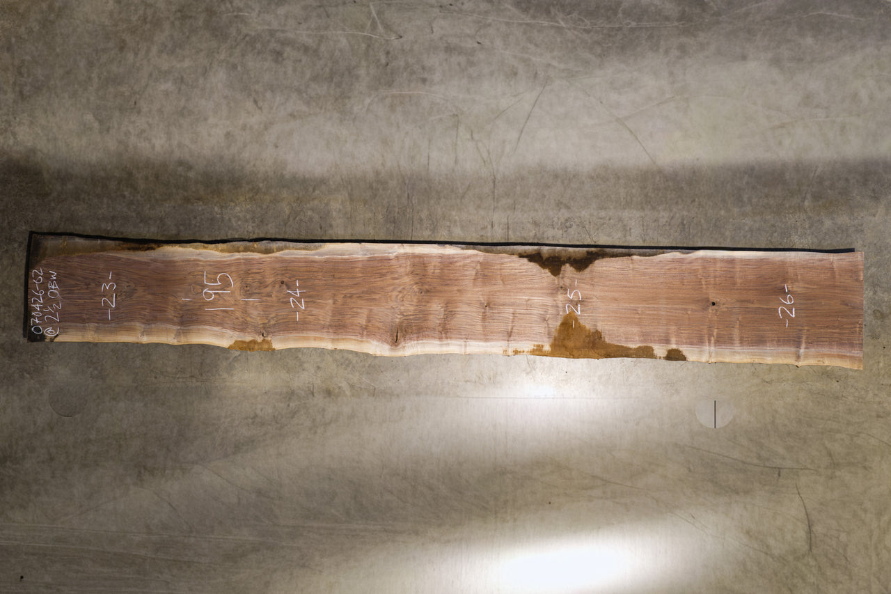 Oregon Black Walnut Slab 070426-02