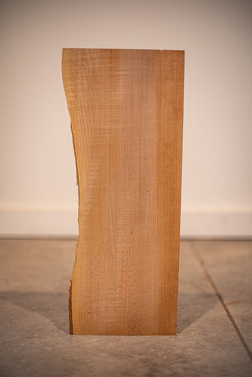 Big Leaf Maple Board B8725
