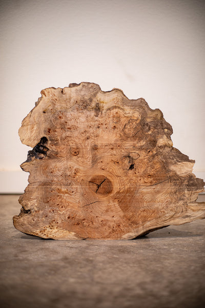 Big Leaf Maple Board B8928