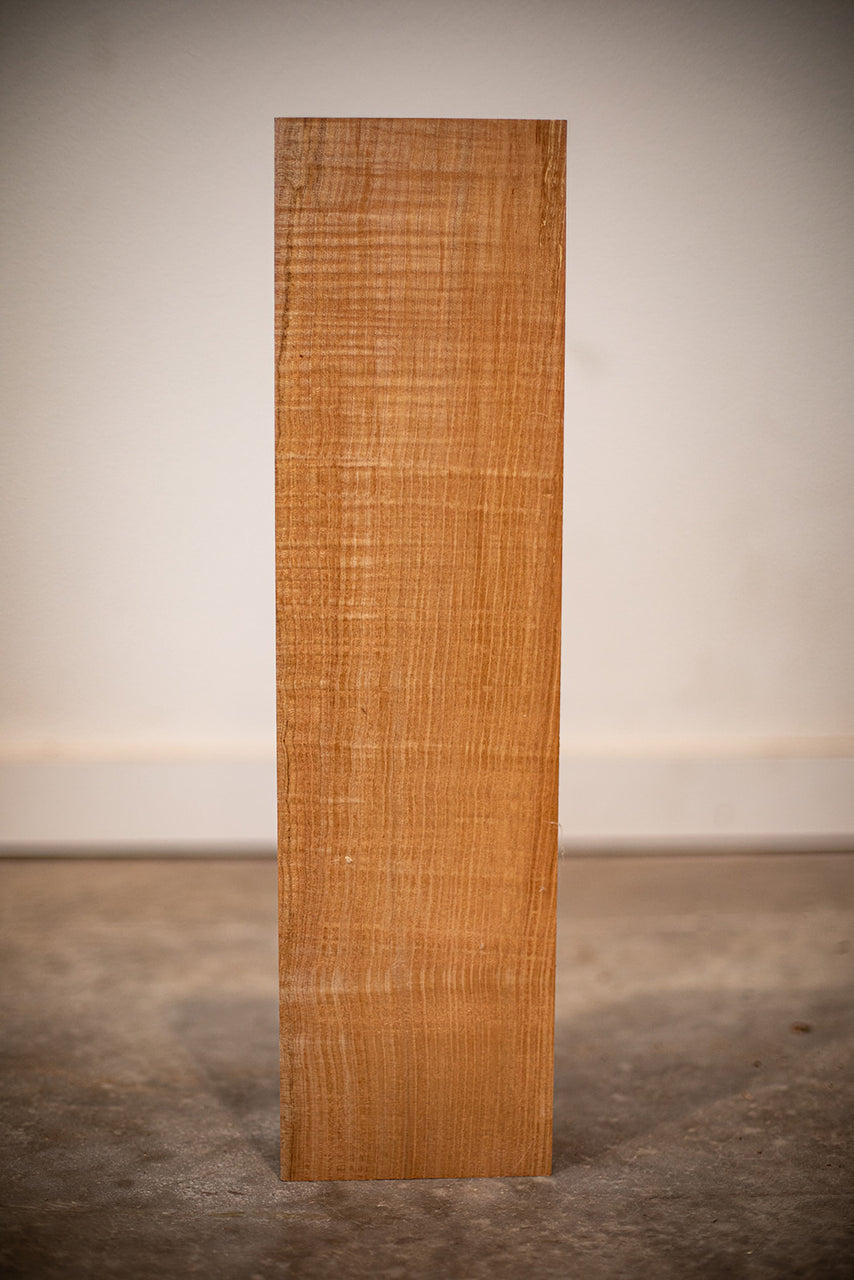 Big Leaf Maple Board B8931