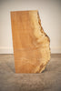 Big Leaf Maple Board B8934