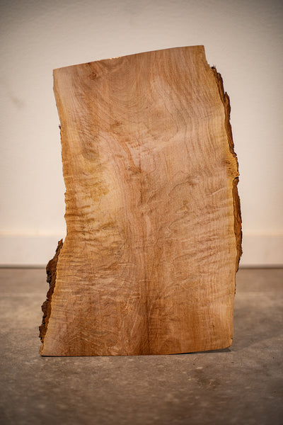 Big Leaf Maple Board B9039
