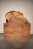 Big Leaf Maple Board B9153