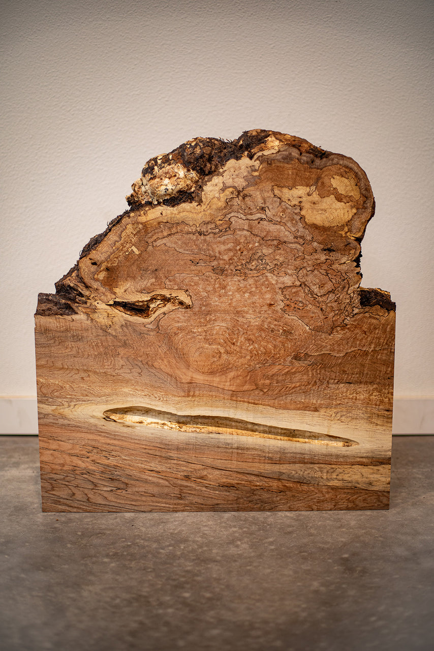 Big Leaf Maple Board B9153