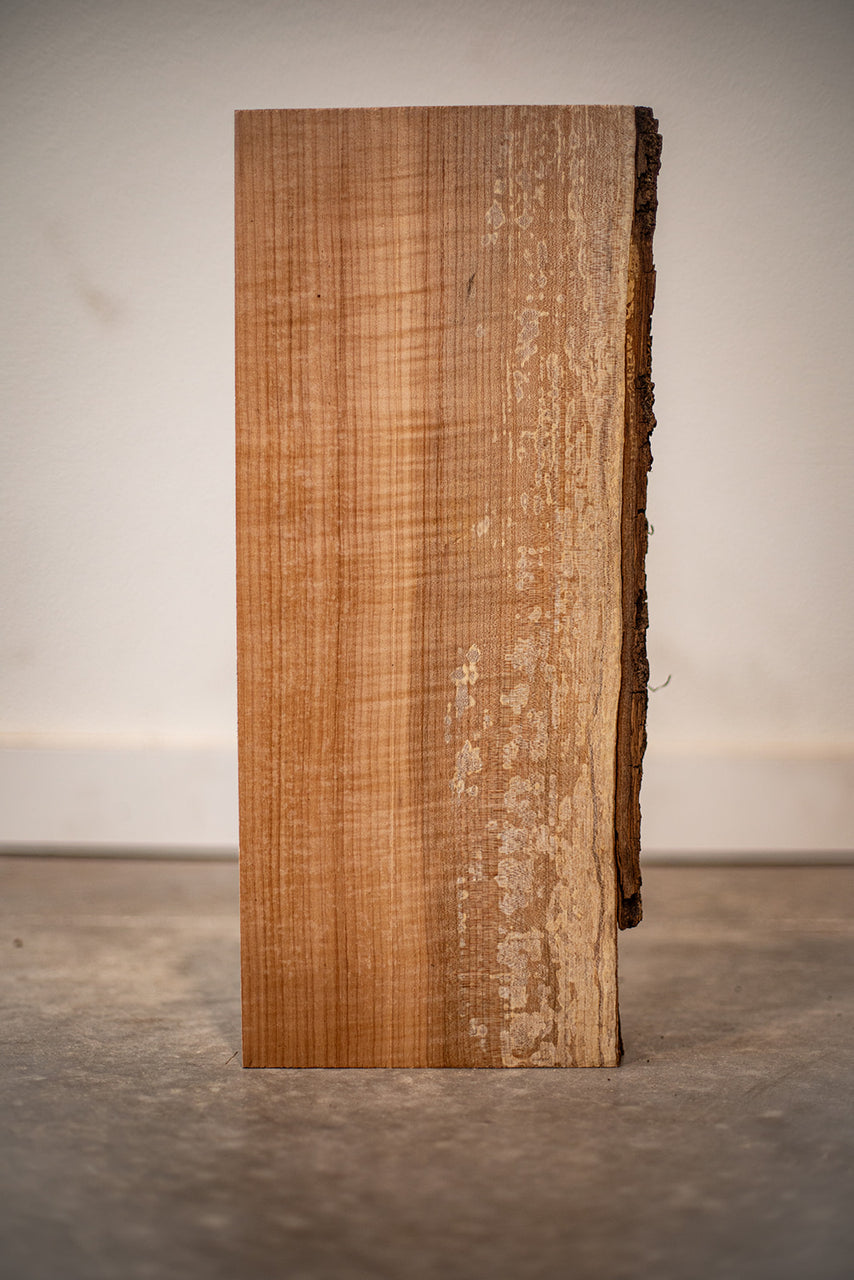 Big Leaf Maple Board B9154
