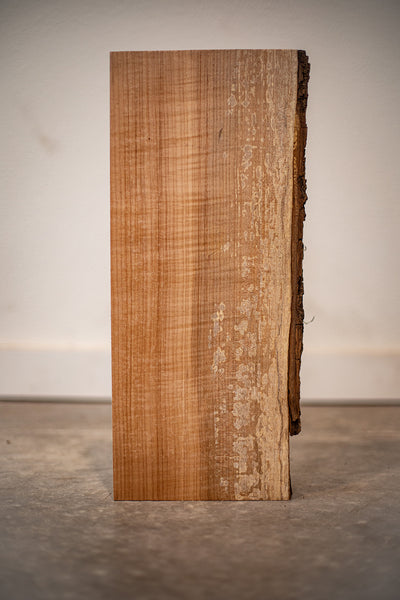 Big Leaf Maple Board B9154
