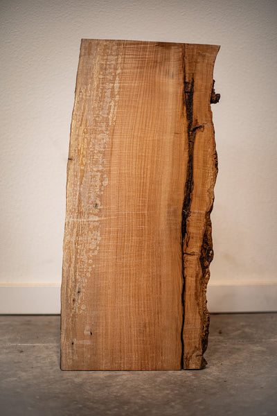 Big Leaf Maple Board B9156