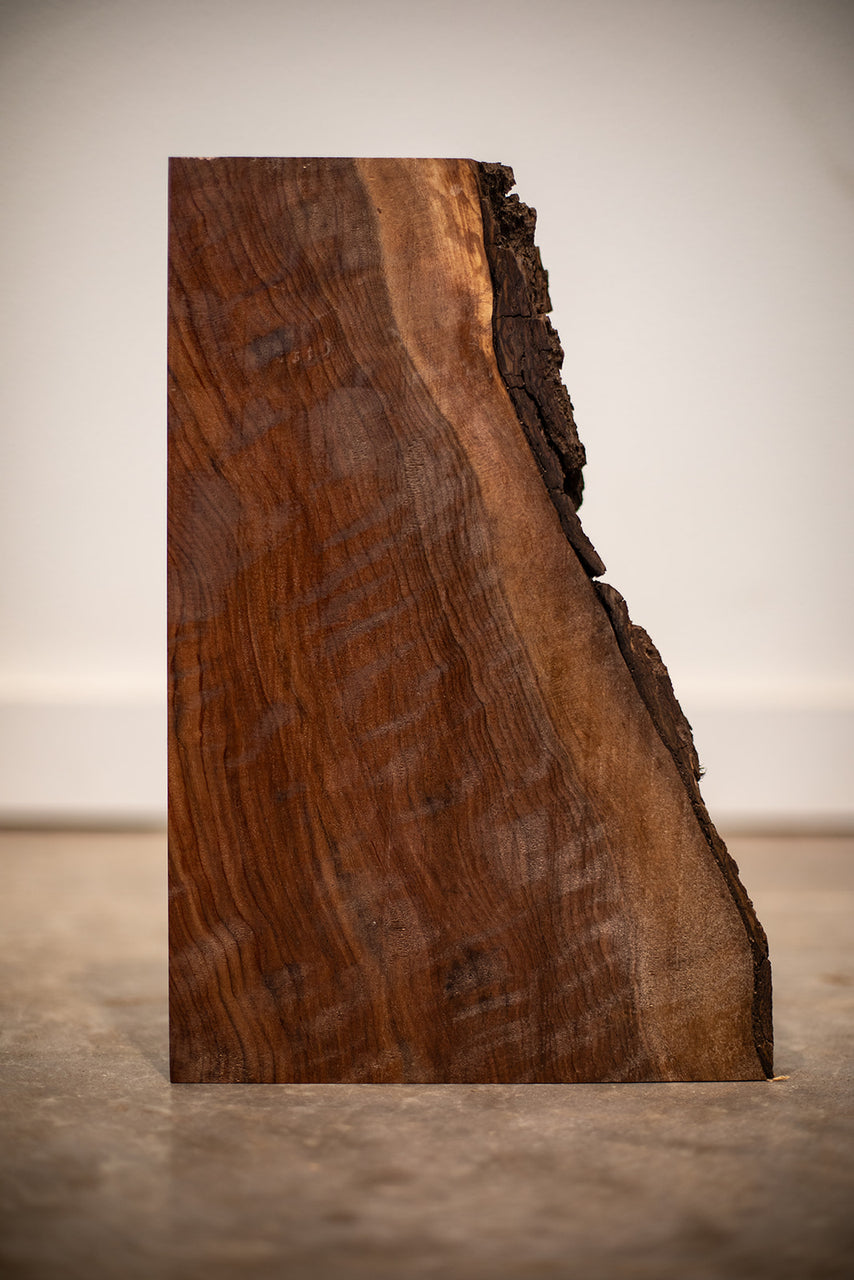 Oregon Black Walnut Board B9277