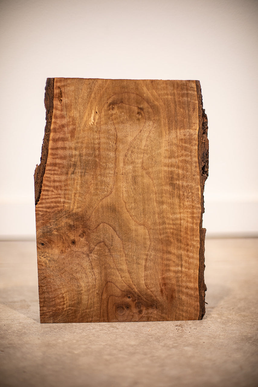 Oregon Black Walnut Board DB9319C