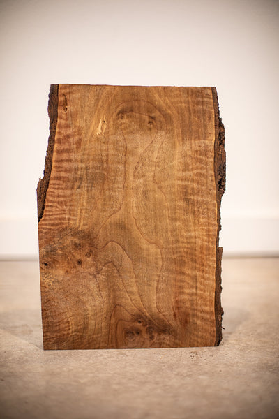 Oregon Black Walnut Board DB9319C