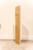 Big Leaf Maple Board B9524