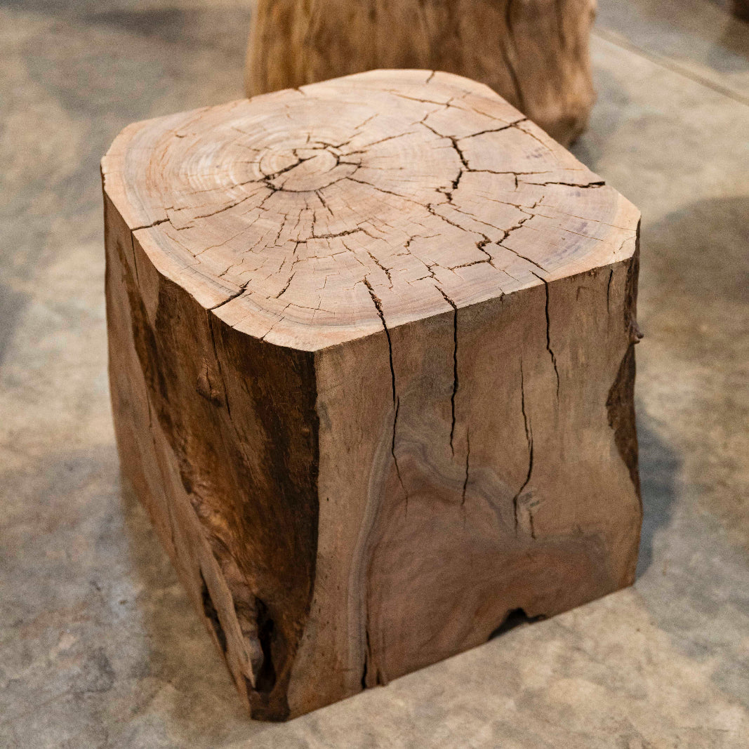 Oregon Black Walnut Block C020