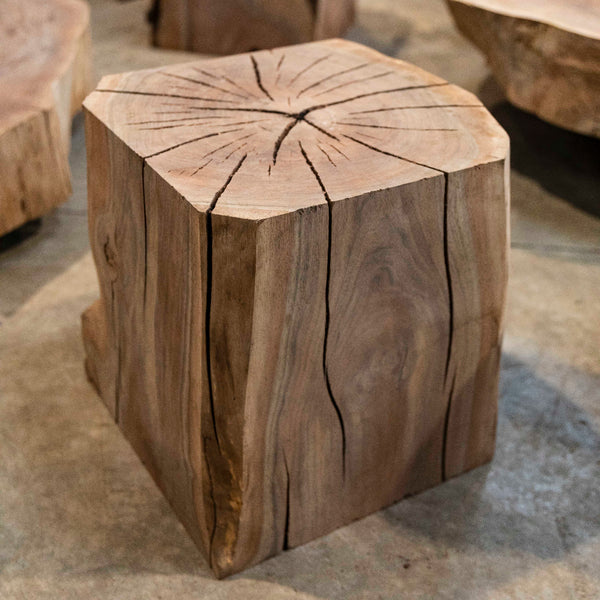 Oregon Black Walnut Block C021