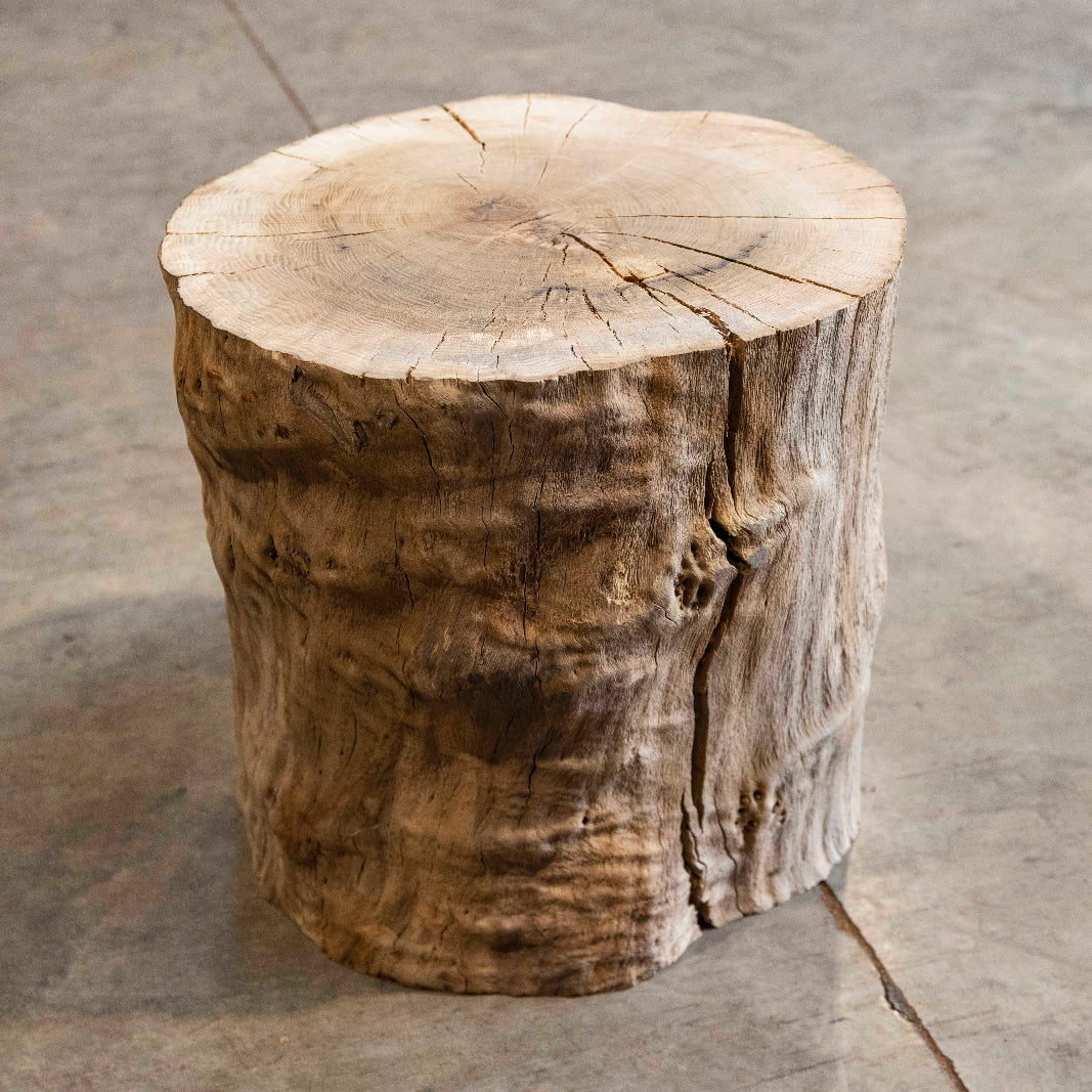 Oregon White Oak Block C025