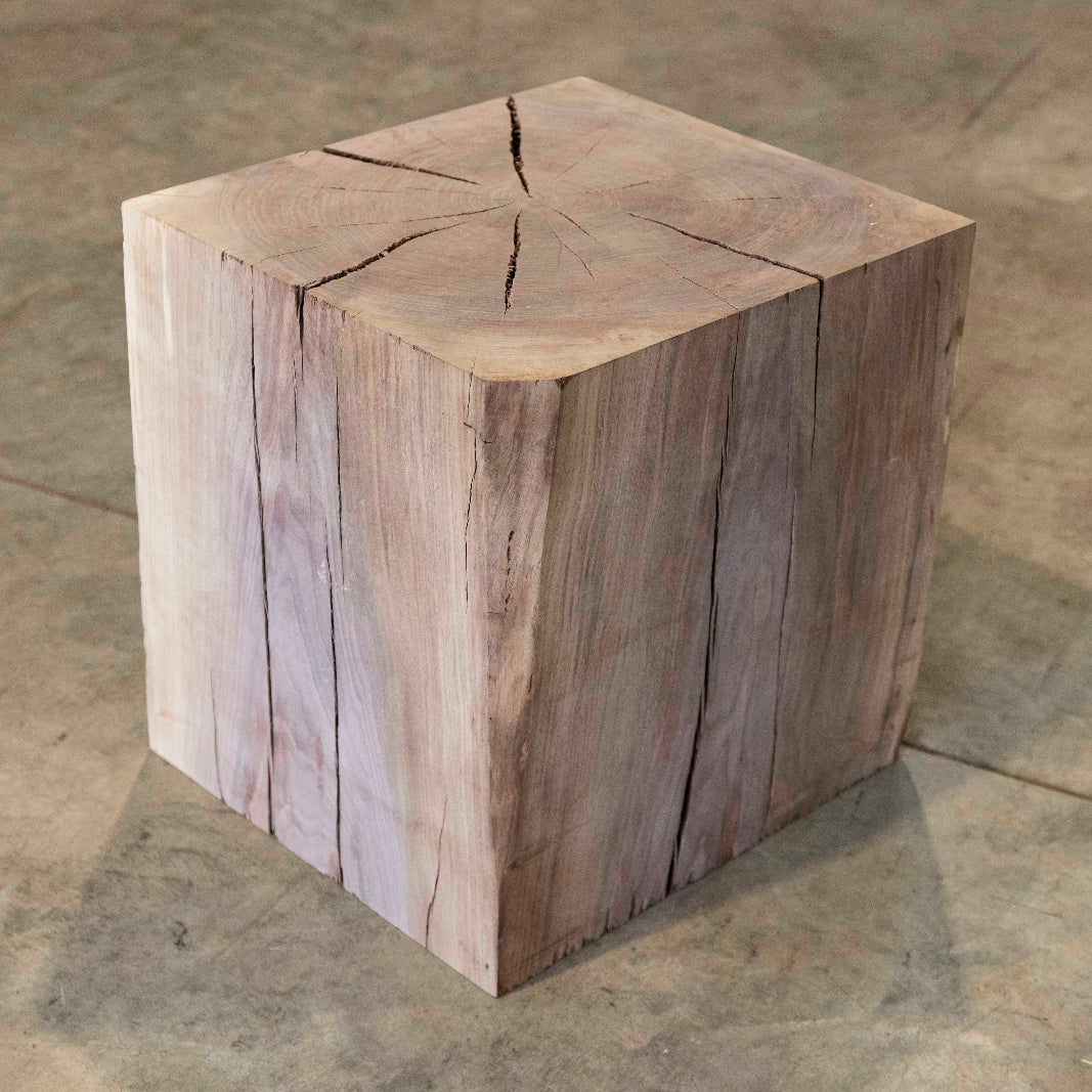 Oregon Black Walnut Block C026