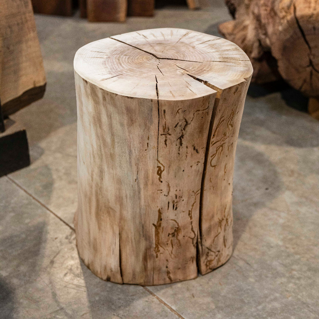 Oregon Black Walnut Burl Round C029