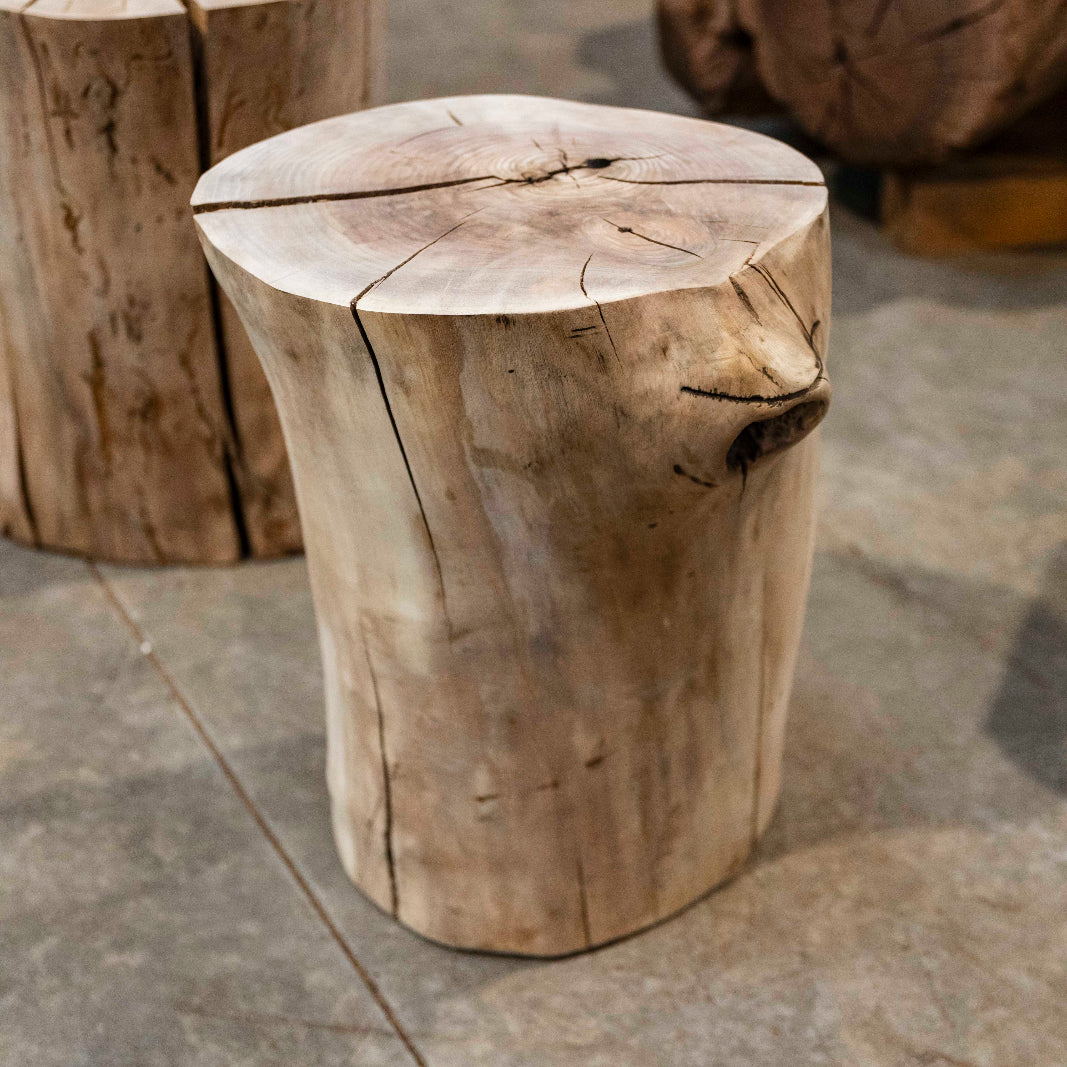 Oregon Black Walnut Burl Round C030