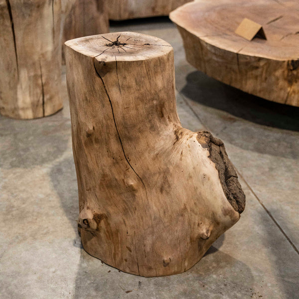 Oregon Black Walnut Burl Round C031