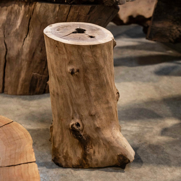 Oregon Black Walnut Burl Round C032