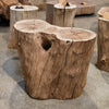 Oregon Black Walnut Burl Round C033