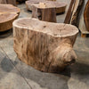 Oregon Black Walnut Burl Round C034