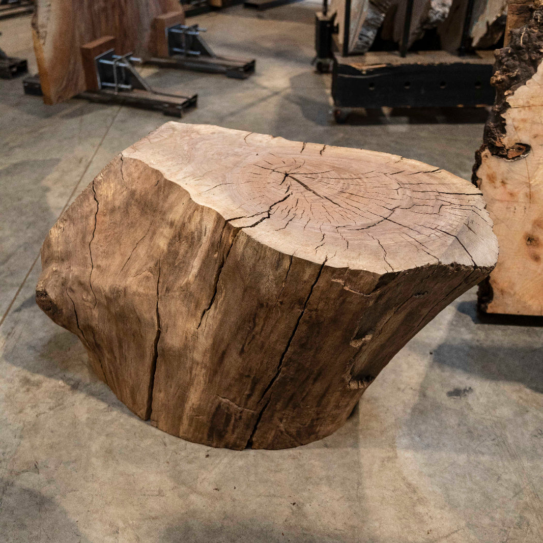 Oregon Black Walnut Burl Round C035
