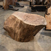 Oregon Black Walnut Burl Round C035
