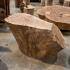 Oregon Black Walnut Burl Round C035