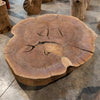 Oregon Black Walnut Burl Round C036