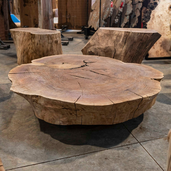 Oregon Black Walnut Burl Round C036 – Goby Walnut Products, Inc