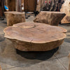 Oregon Black Walnut Burl Round C036