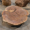 Oregon Black Walnut Burl Round C036