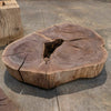 Oregon Black Walnut Burl Round C037