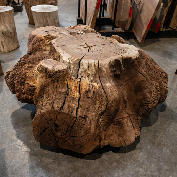 Oregon Black Walnut Burl Round C038
