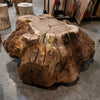 Oregon Black Walnut Burl Round C038