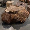 Oregon Black Walnut Burl Round C038