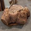 Oregon Black Walnut Burl Round C038