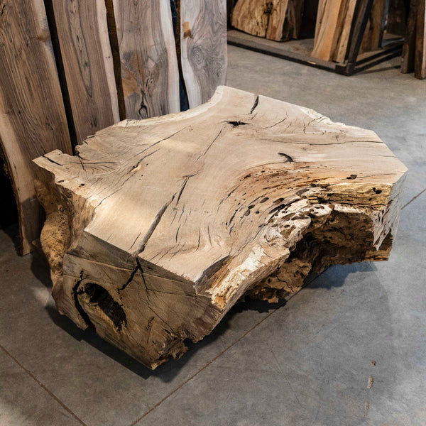 Oregon White Oak Block C040